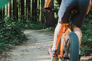 Mountain biker rides down a trail