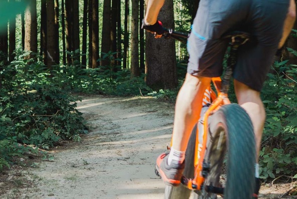 Mountainbiker fährt Trail herunter