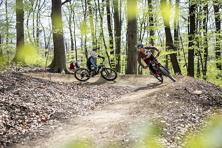 Two young bikers ride turn in leafy forest