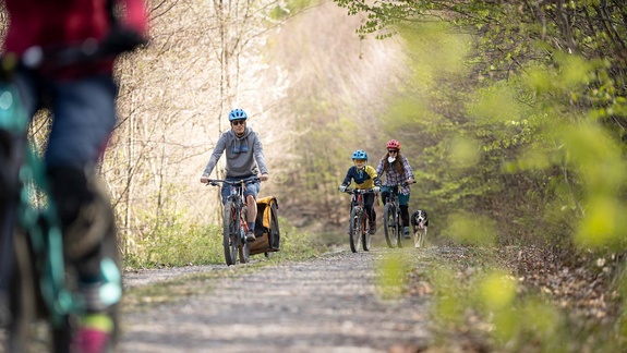 Familie mit Hund und Fahrradanhänger radelt auf Forstweg