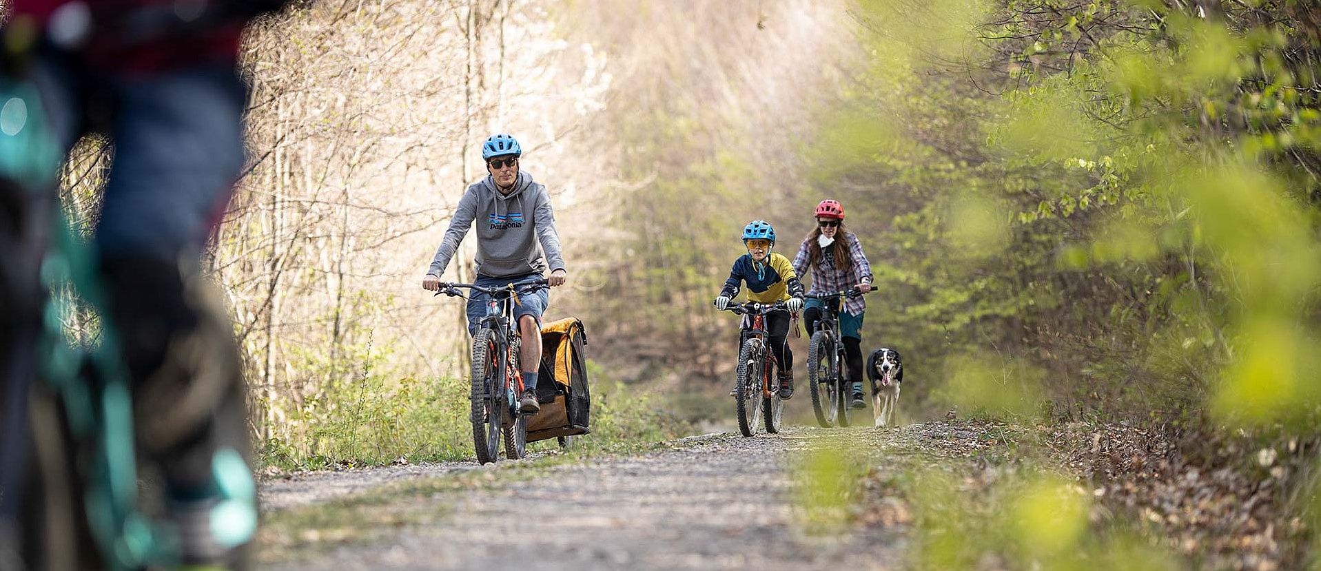 Family with dog and bicycle trailer cycling on forest path