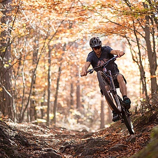 Biker in autumn forest on a trail