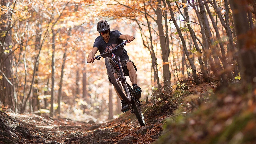 Biker in autumn forest on a trail