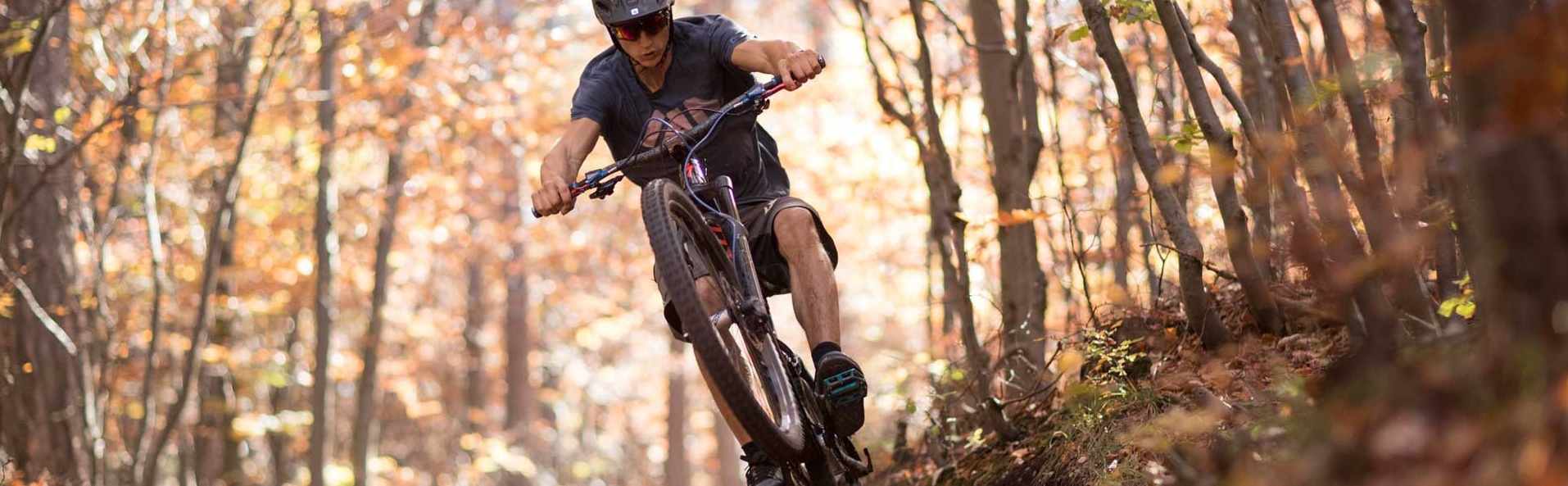 Biker in autumn forest on a trail