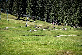 Trail winds along the edge of the forest under a lift