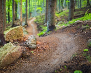 Singltrek Pod Smrkem ©Singltrek Pod Smrkem Narrow trail leads through the forest