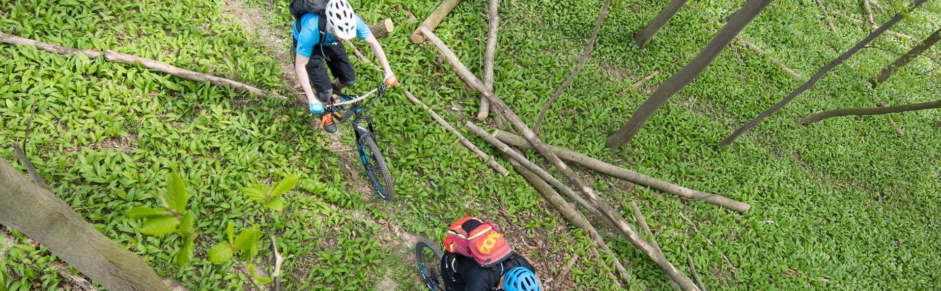 Zwei Biker von oben im Wald auf einem Singletrail