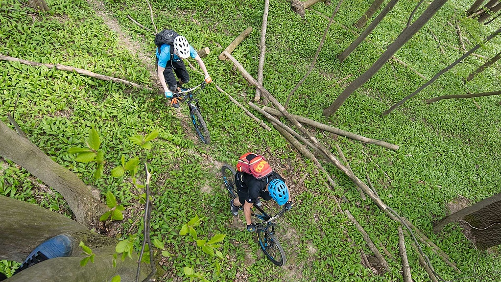 Two bikers from above in forest on single trail