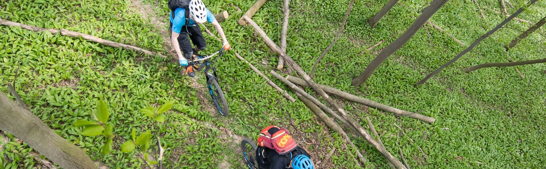 Zwei Biker von oben im Wald auf einem Singletrail