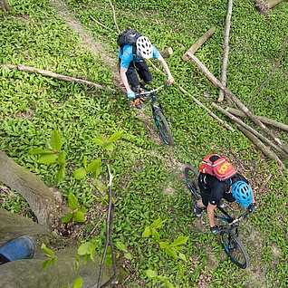 Two bikers from above in forest on single trail