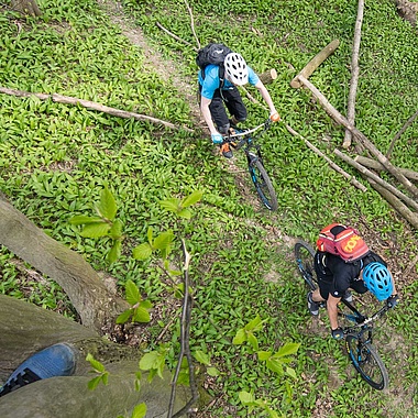 Two bikers from above in forest on single trail