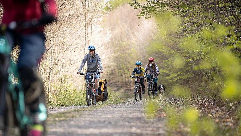 Family with dog and bicycle trailer cycling on forest path