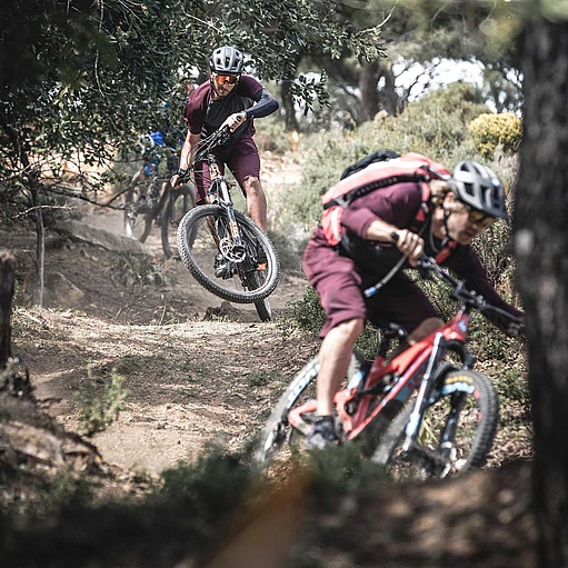 Freerider on earthy trail between trees 