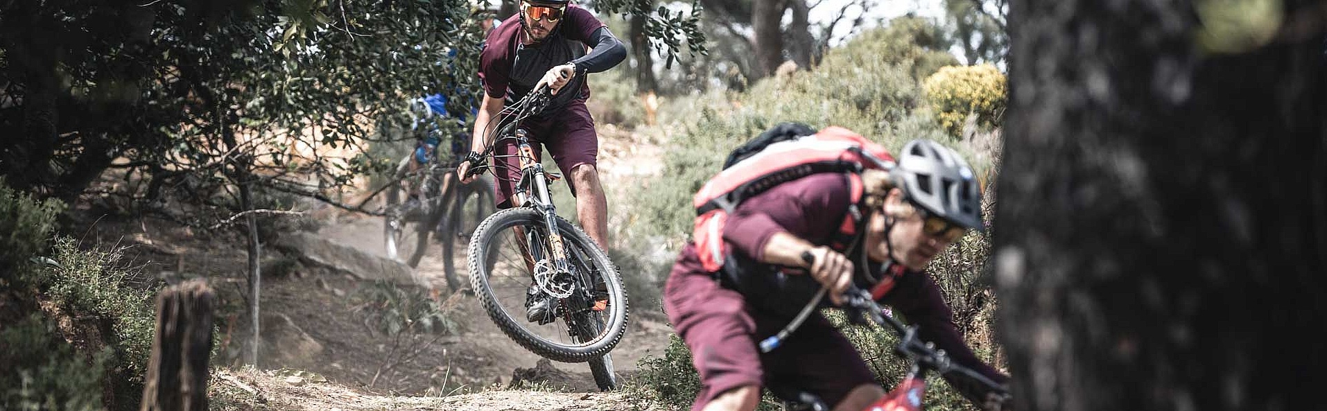 Freerider on earthy trail between trees