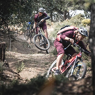 Freerider on earthy trail between trees 