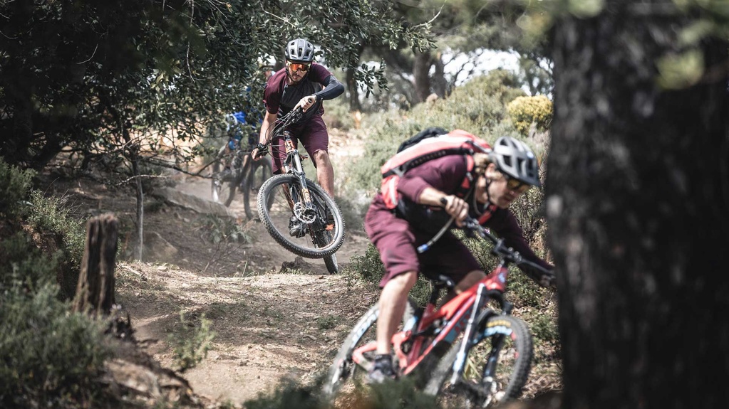 Freerider auf erdigem Trail zwischen Bäumen