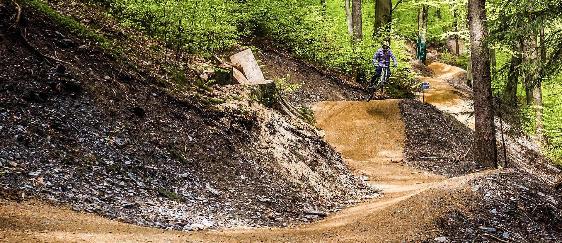 Biker jumps on trail in forest