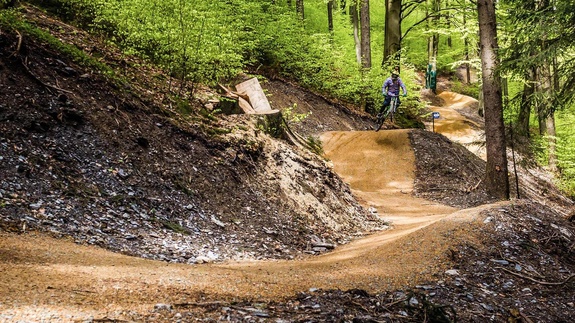 Biker jumps on trail in forest