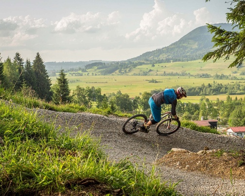A biker on trail at the edge of the forest with panorama in the background