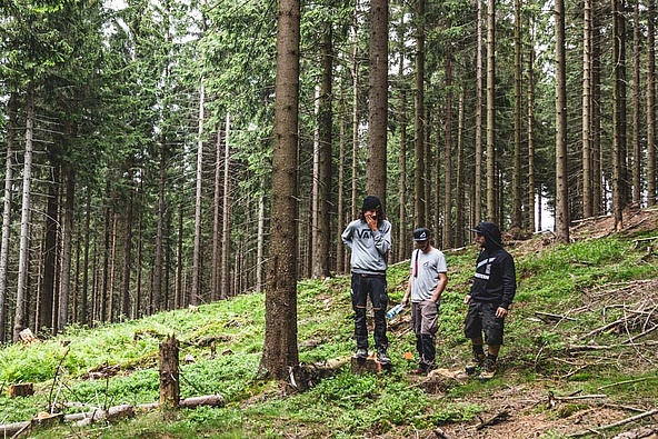Three men stand in the forest and survey the terrain
