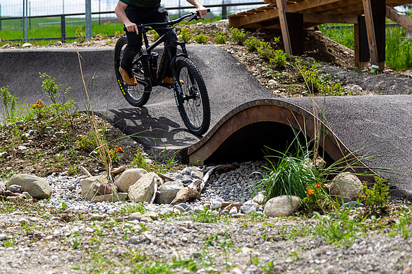 Biker fährt auf Brücke über Biotop