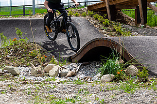Biker fährt auf Brücke über Biotop