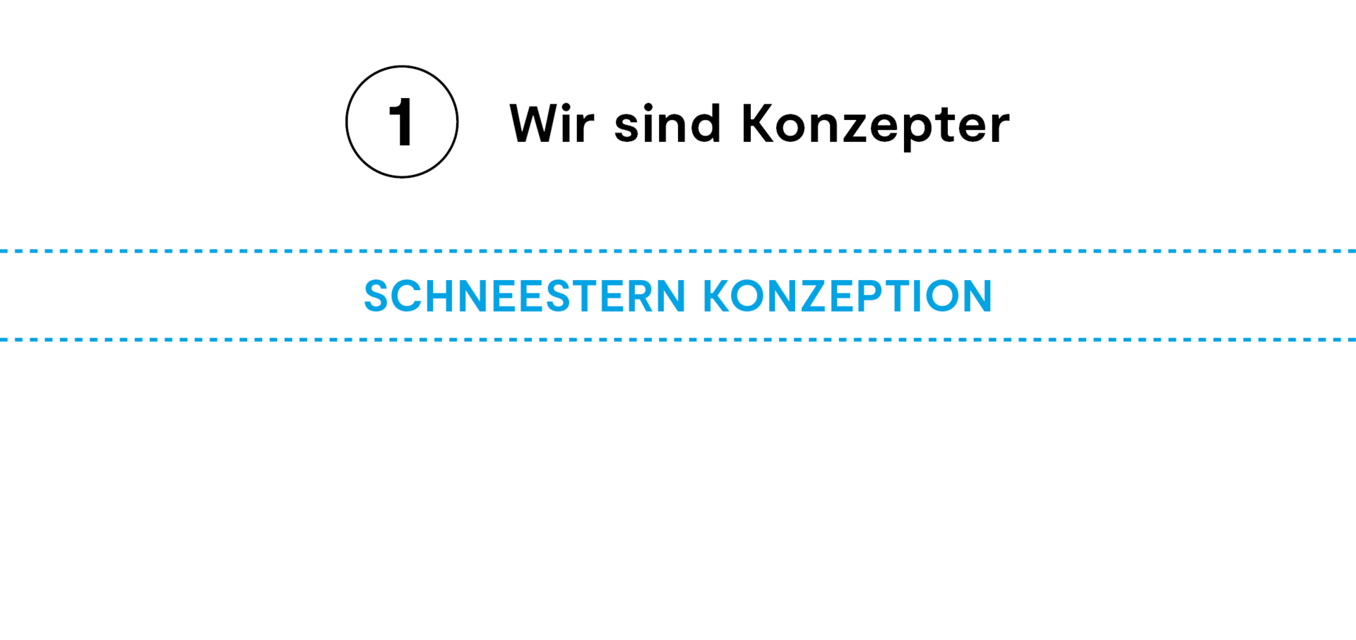 Schneestern Konzeption