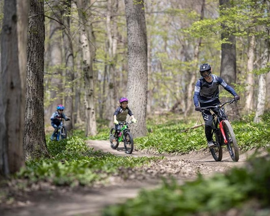 [Translate to Englisch:] 