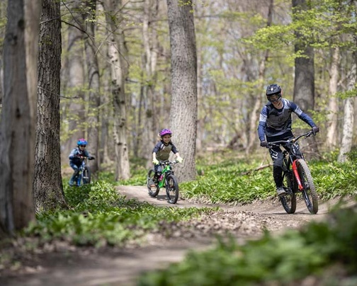 [Translate to Englisch:] 