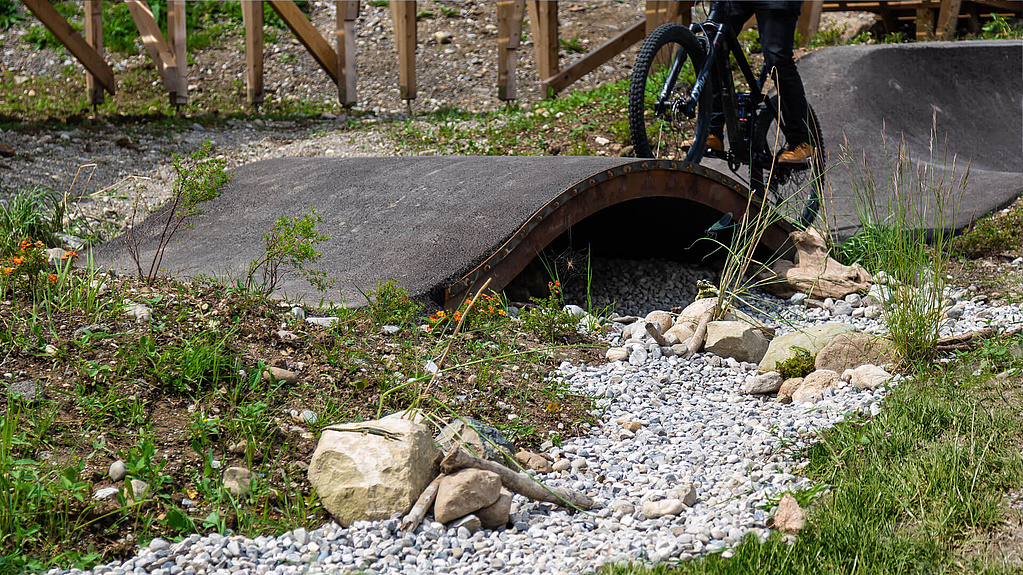 Radfahrer fährt über Brücke und Biotop im Vordergrund