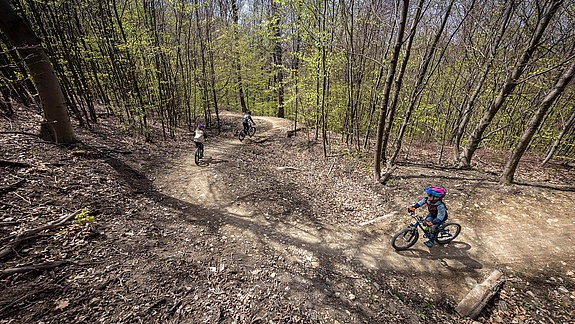 Children ride on easy trail through leafy forest