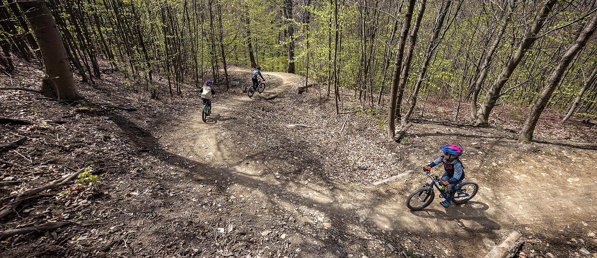 Children ride on easy trail through leafy forest
