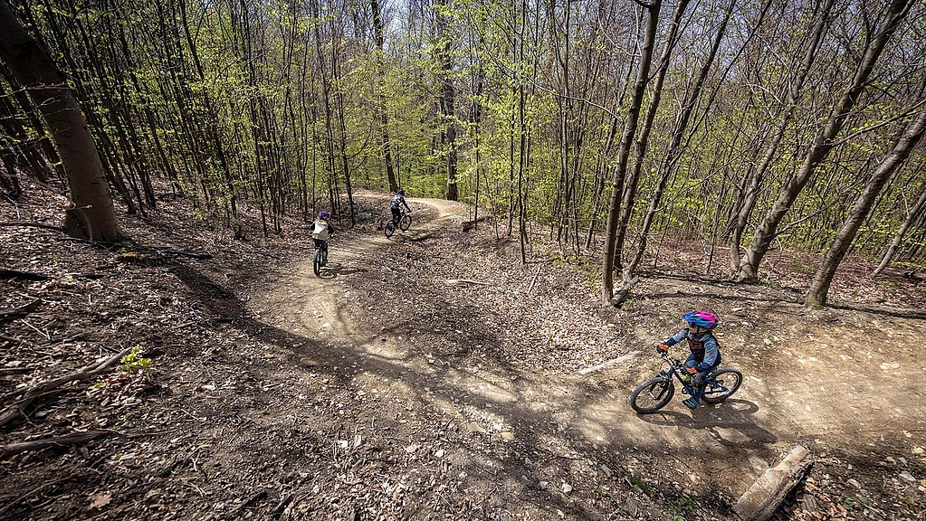 Children ride on easy trail through leafy forest