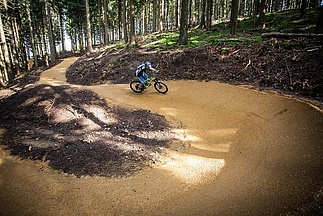 Biker riding down a winding trail in the forest
