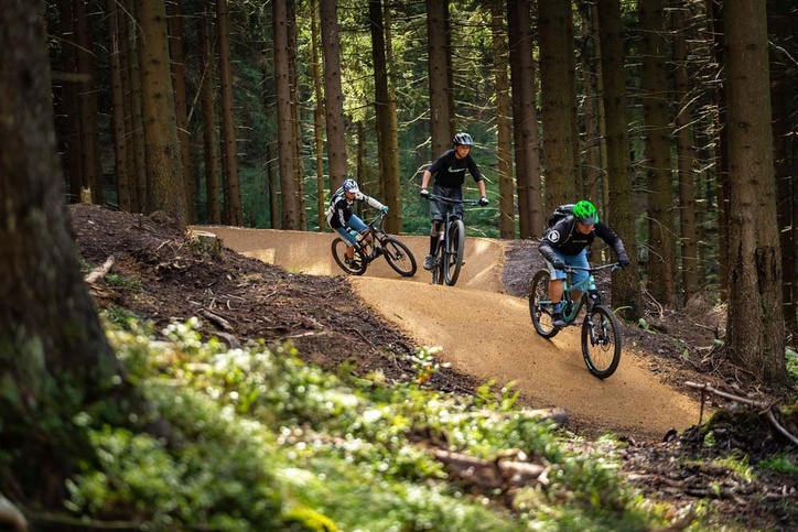 Three bikers ride through the forest at the bike park Oberhof