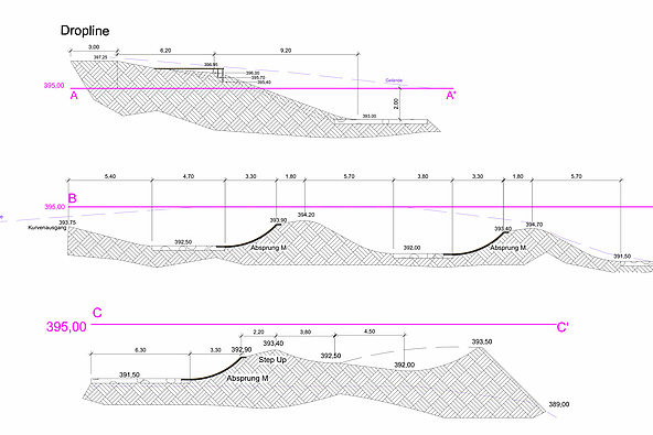 Terrain sections of the planning of Friedewald