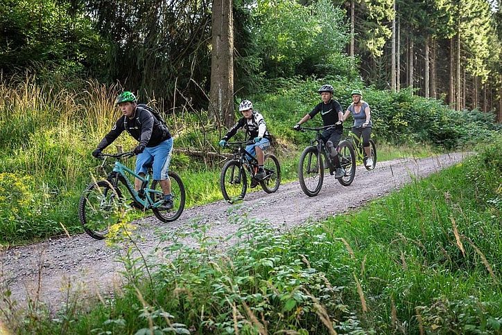 Family with four people cycling on forest road along the forest