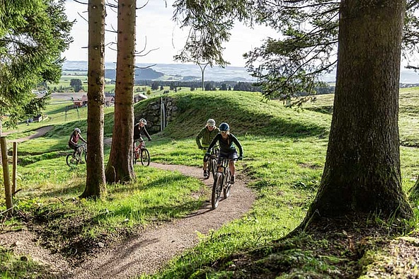 [Translate to Chinesisch:] Four bikers bike trail uphill into forest